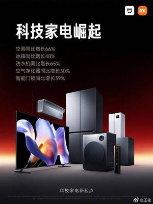小米家电2024战绩辉煌 销量猛增，爆款频出，智能工厂即将量产